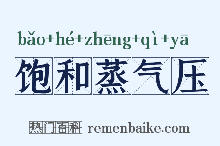 饱和蒸气压是什么意思的图片